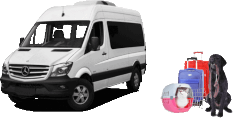 Bulgarija Lietuva gyvūnų pervežimas kiekvieną dieną