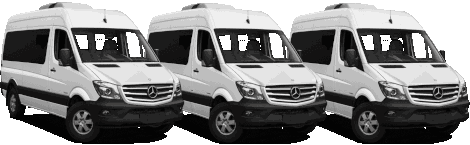 Kasdien vežame į Čekiją ir iš Čekijos keleivius ir siuntas