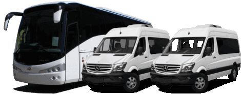 Kasdien vežame į Graikiją ir iš Graikijos keleivius ir siuntas